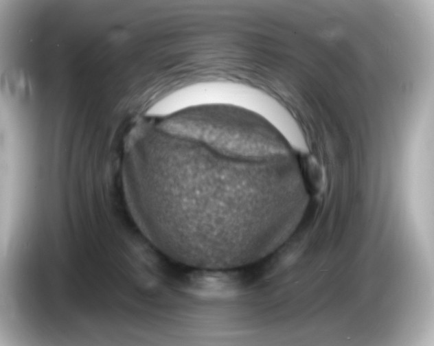 X0000085800229200704091454