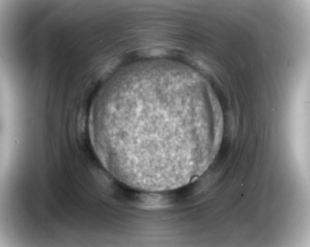 X0000085800230200704091454