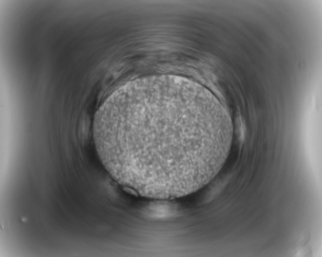 X0000085800231200704091454