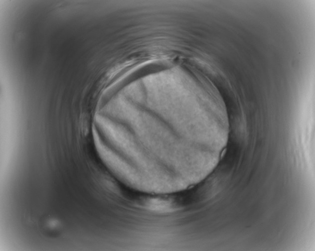 X0000085800232200704091454