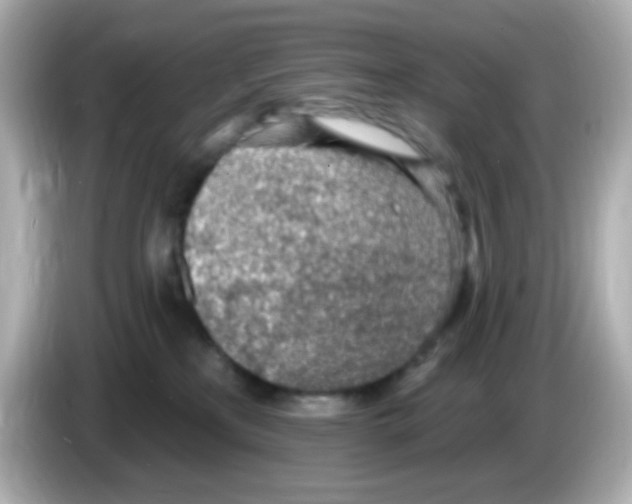 X0000085800233200704091454