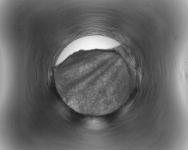 X0000085800235200704091454