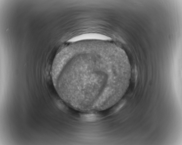 X0000085800237200704091454