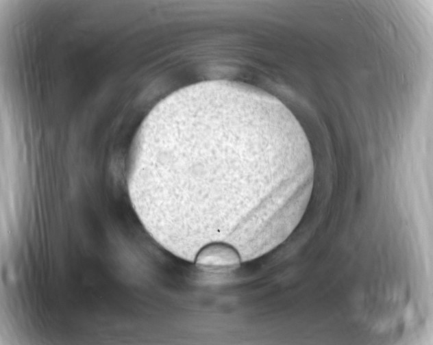 X0000085800240200704091454