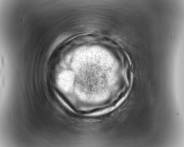 X0000085800242200704091454