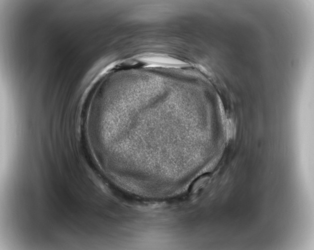 X0000085800243200704091454