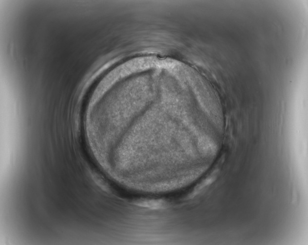 X0000085800247200704091454