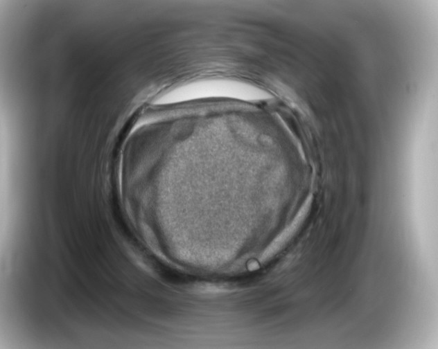 X0000085800250200704091454