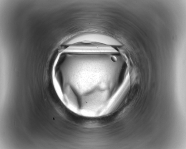 X0000085800252200704091454