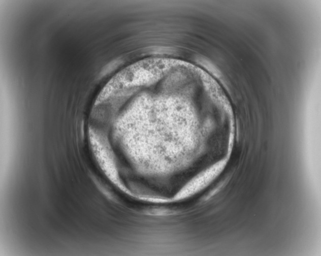 X0000085800253200704091454