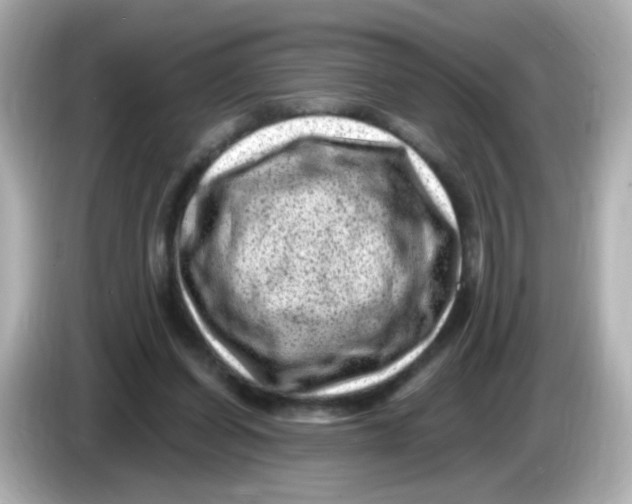 X0000085800254200704091454