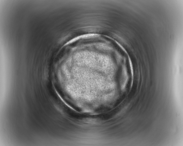 X0000085800255200704091454