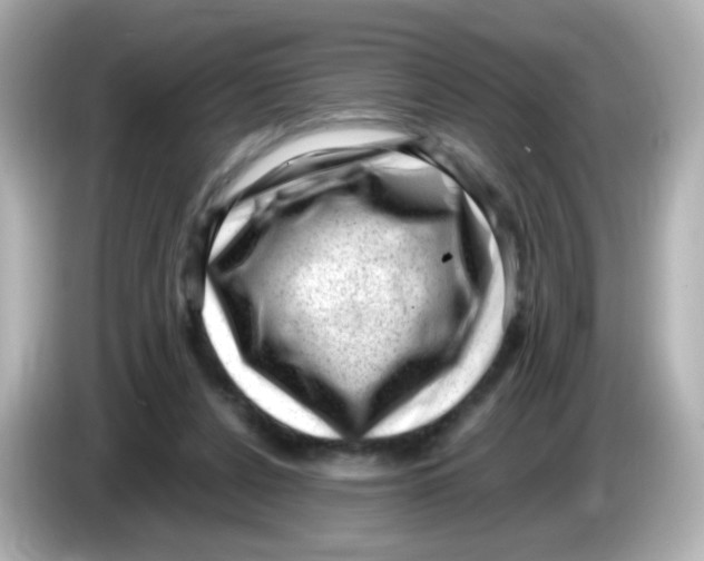 X0000085800256200704091454