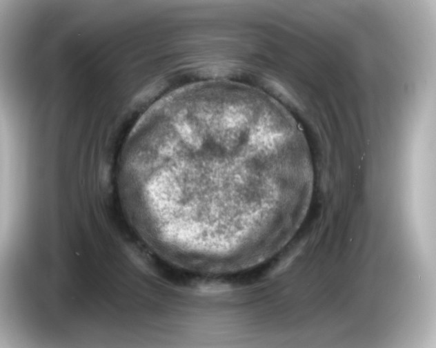 X0000085800258200704091454