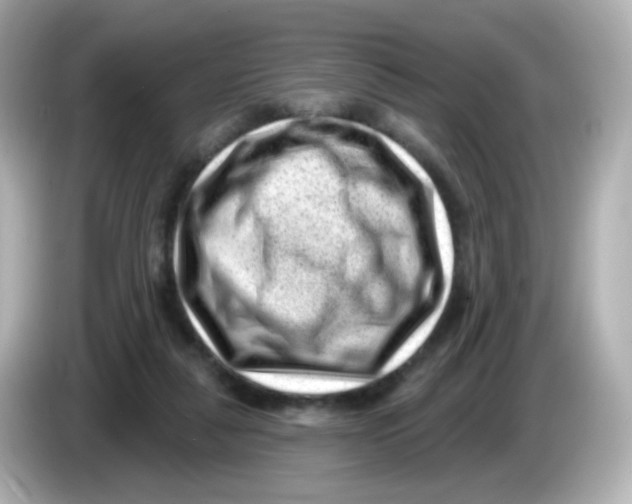 X0000085800259200704091454