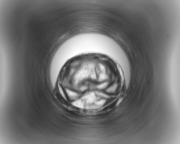 X0000085800260200704091454