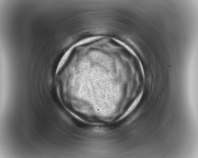 X0000085800261200704091454