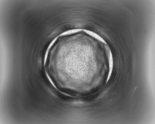 X0000085800262200704091454