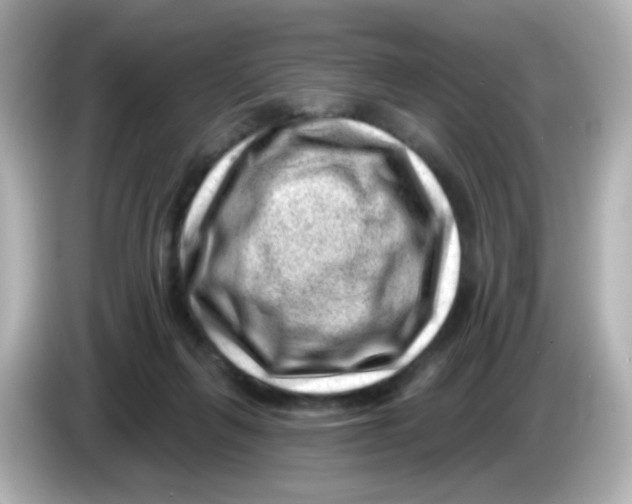 X0000085800263200704091454