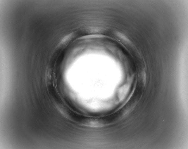 X0000085800264200704091454