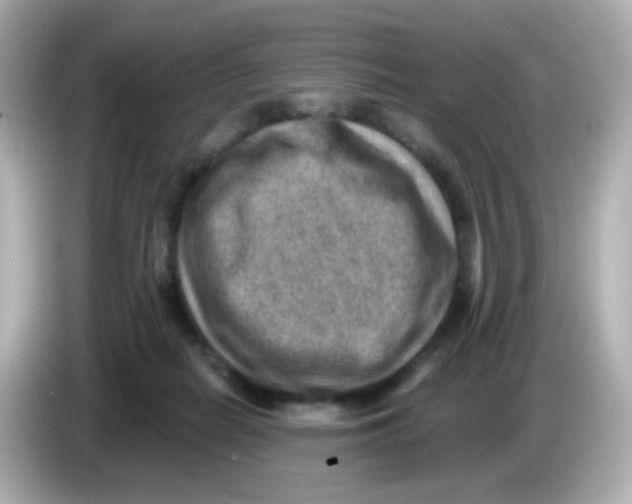 X0000085800266200704091454