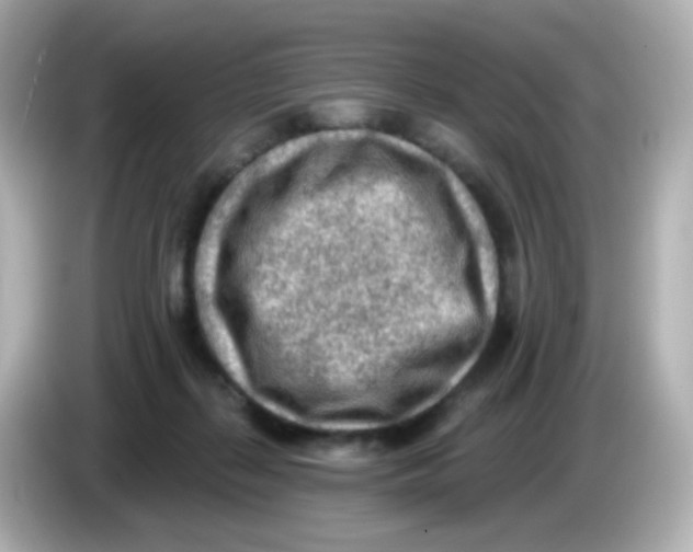 X0000085800267200704091454