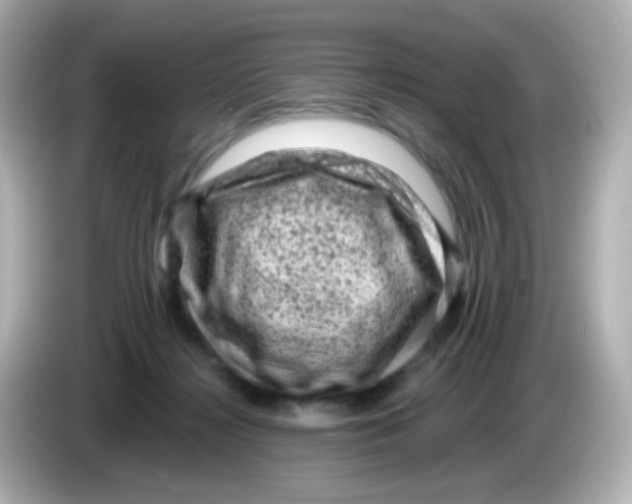 X0000085800268200704091454