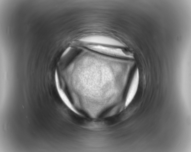 X0000085800270200704091454