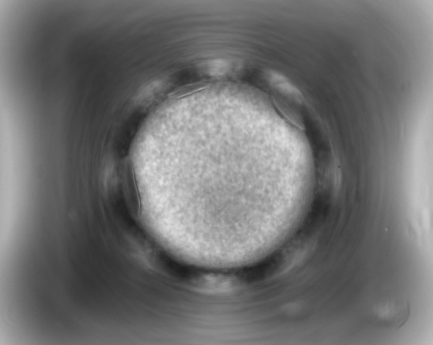 X0000085800272200704091454