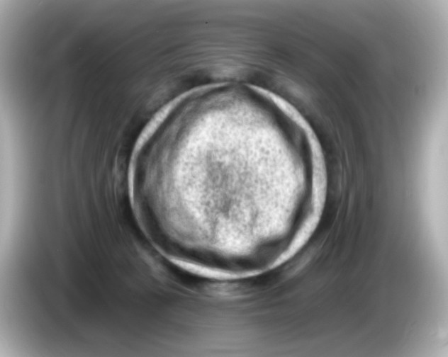 X0000085800273200704091454