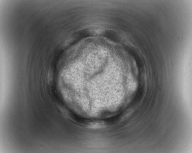 X0000085800274200704091454