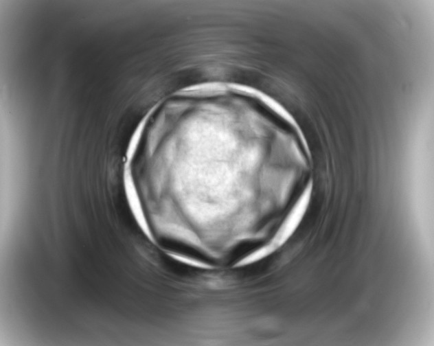 X0000085800275200704091454