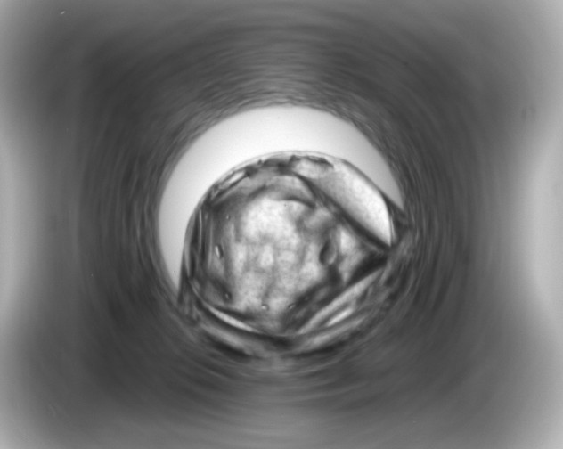 X0000085800276200704091454