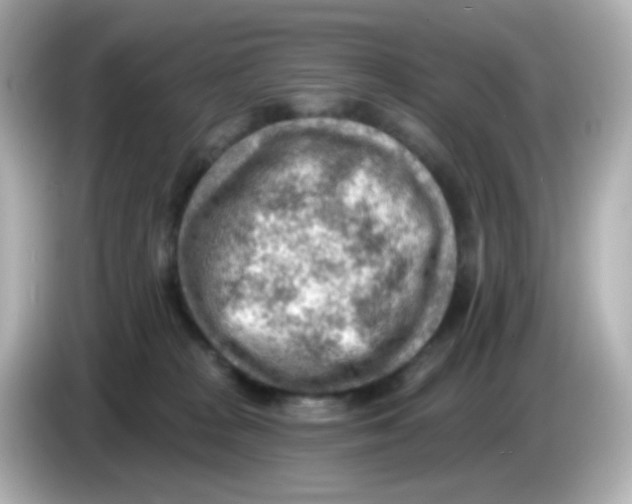 X0000085800277200704091454