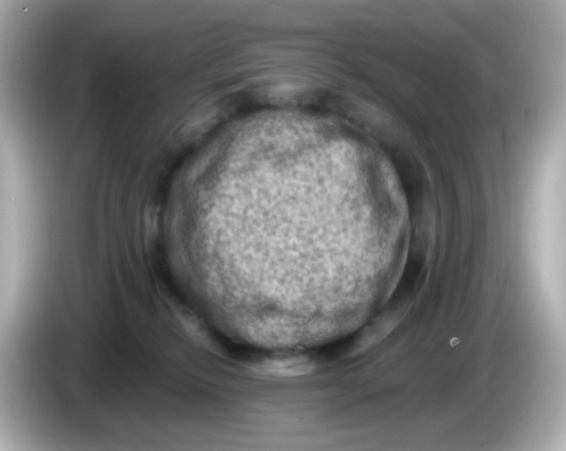 X0000085800278200704091454