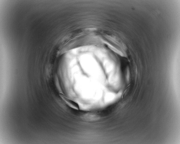 X0000085800280200704091454