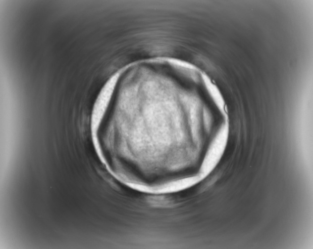 X0000085800281200704091454