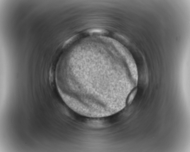 X0000085800282200704091454