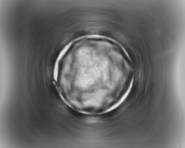 X0000085800283200704091454