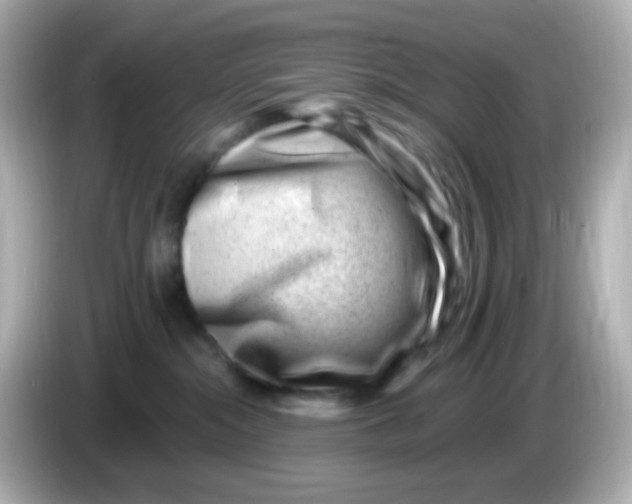 X0000085800284200704091454