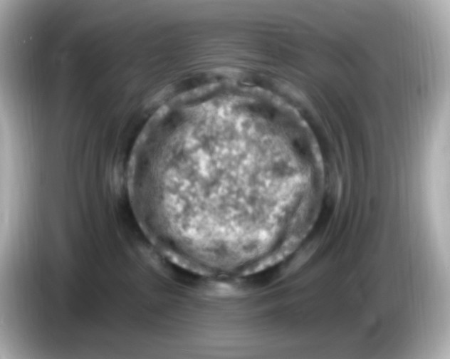 X0000085800285200704091454