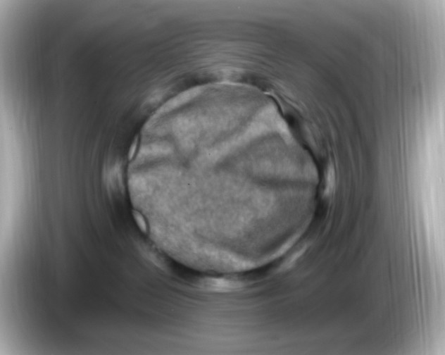 X0000085800286200704091454