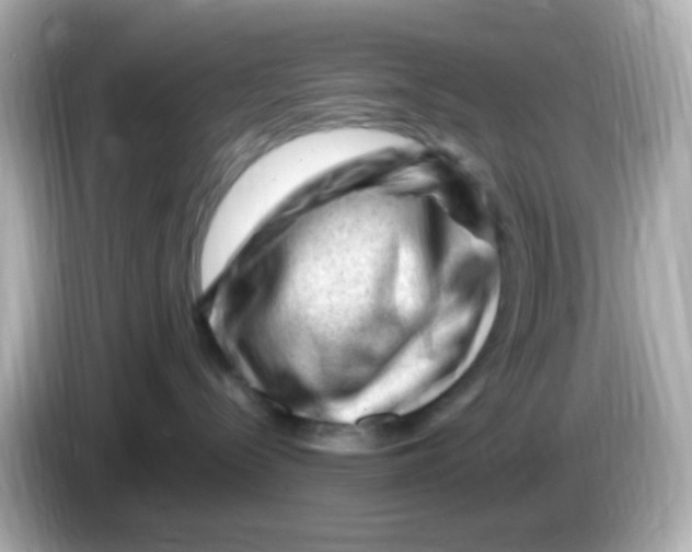 X0000085800288200704091454