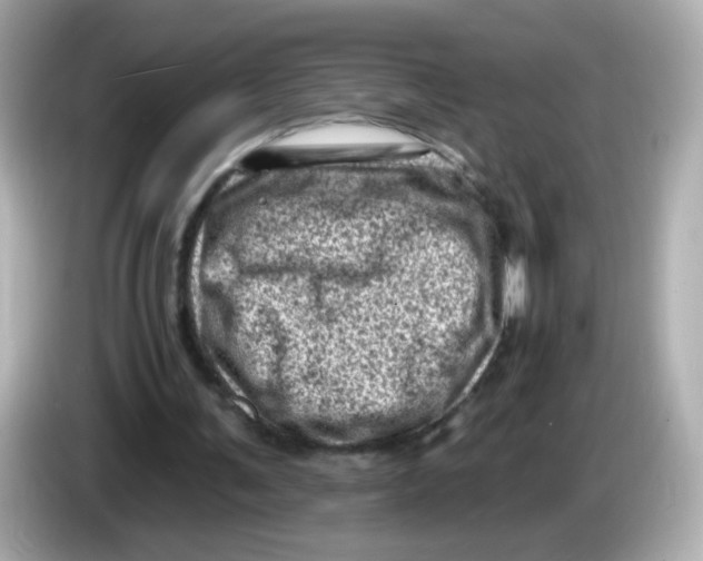 X0000085800291200704091454