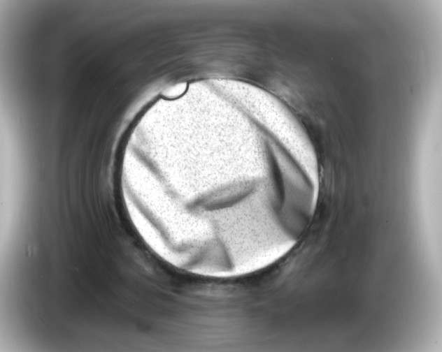 X0000085800292200704091454