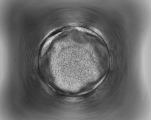 X0000085800297200704091453