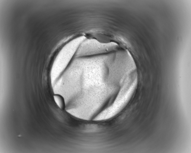 X0000085800298200704091453