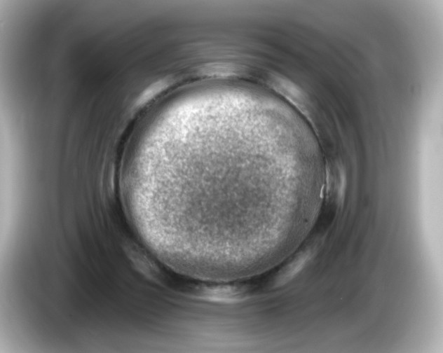 X0000085800301200704091453