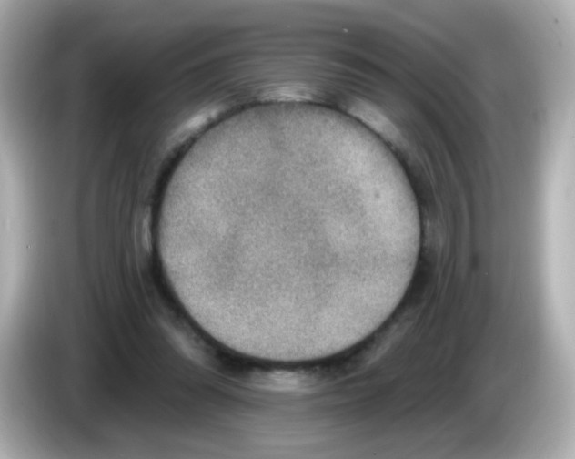 X0000085800302200704091453