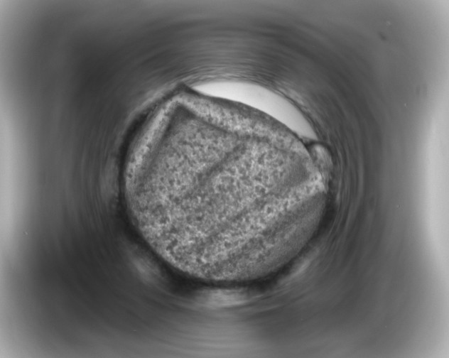 X0000085800303200704091453